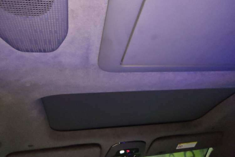 Used Zeekr 009 2022 WE Edition Headliner
