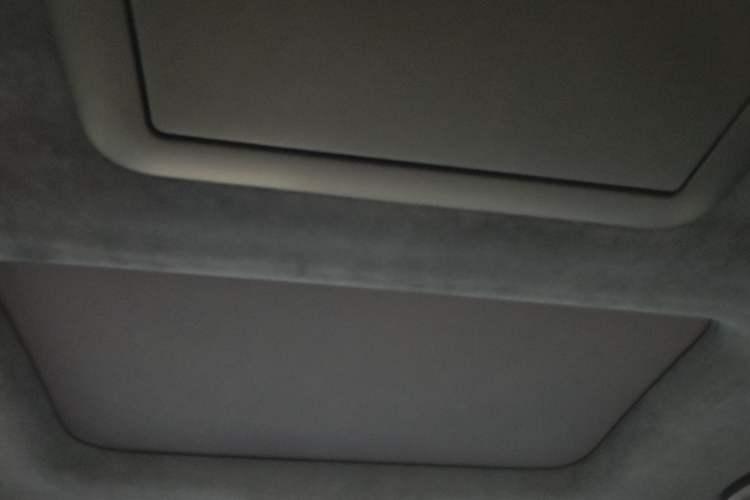 Used Zeekr 009 2022 WE Edition Headliner