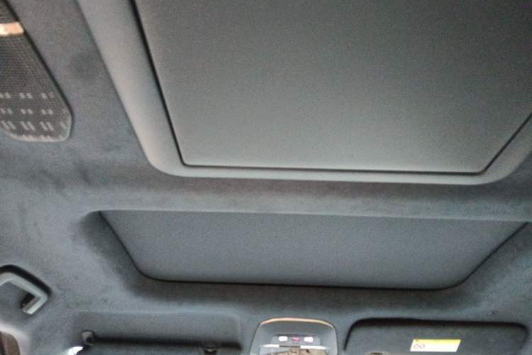 Used Zeekr 009 2022 WE Edition Headliner