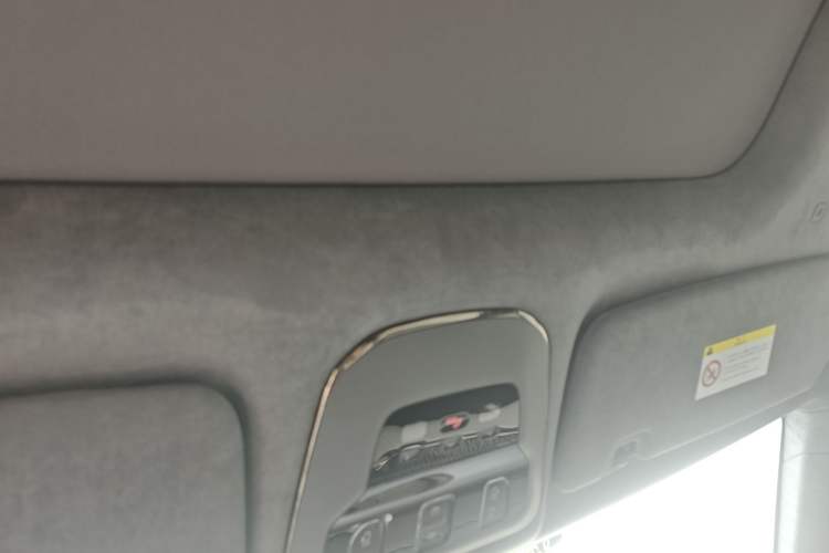 Used Zeekr 009 2022 WE Edition Headliner
