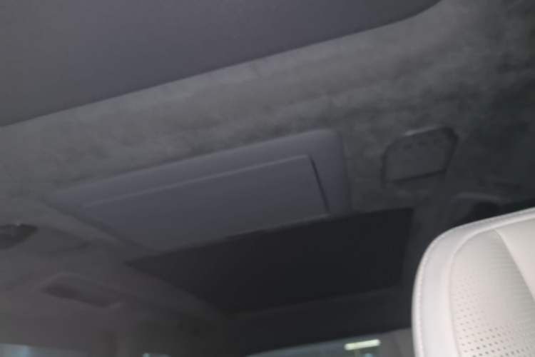 Used Zeekr 009 2022 WE Edition Headliner