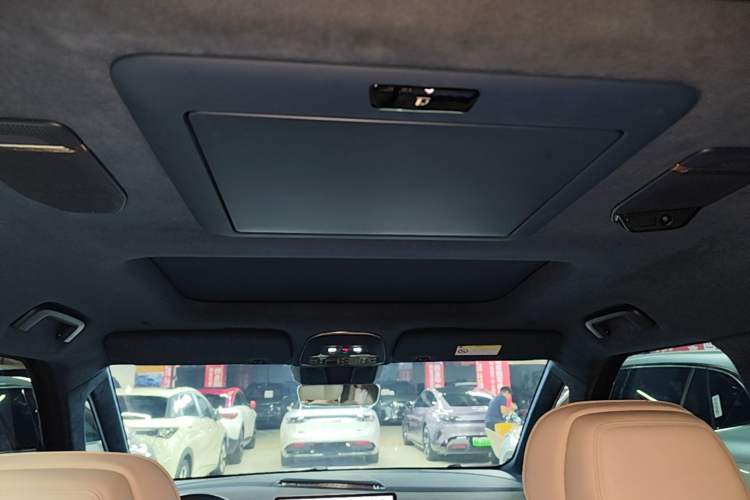 Used Zeekr 009 2022 WE Edition Headliner