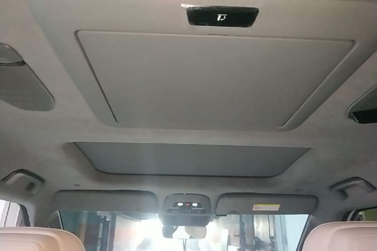 Used Zeekr 009 2022 WE Edition Headliner