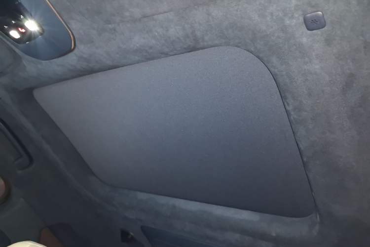 Used Zeekr 009 2022 WE Edition Headliner