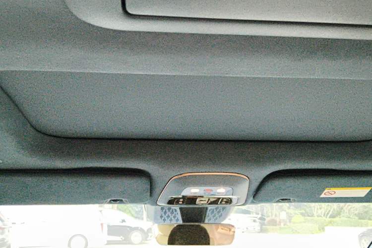 Used Zeekr 009 2022 WE Edition Headliner