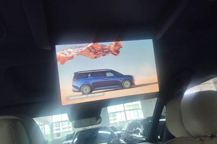 Used Zeekr 009 2022 WE Edition Headliner