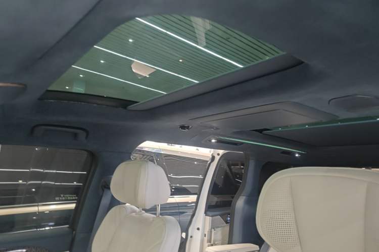 Used Zeekr 009 2022 WE Edition Headliner