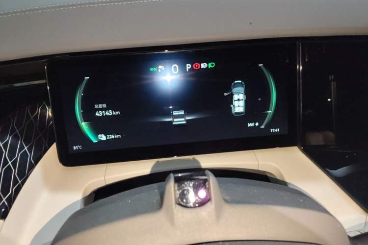 Used Zeekr 009 2022 WE Edition Instrument Cluster