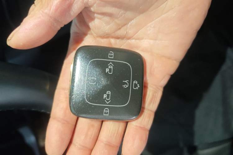 Used Zeekr 009 2022 WE Edition Interior 1
