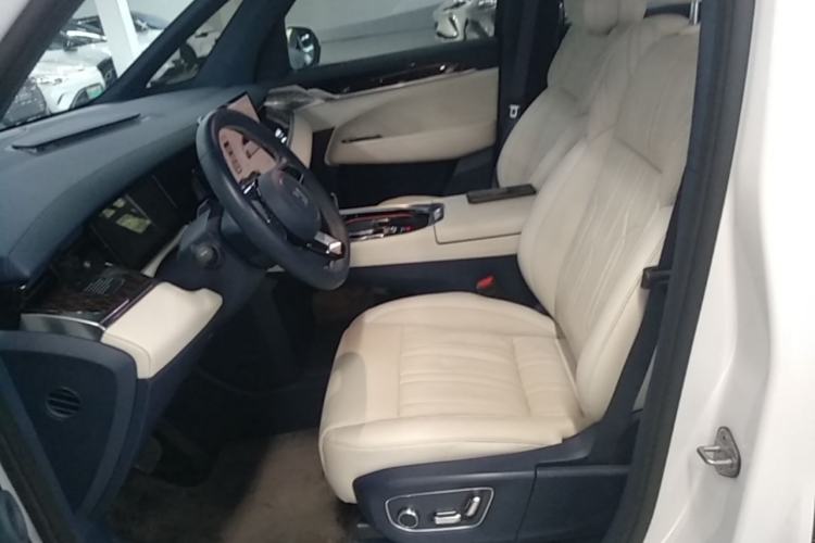 Used Zeekr 009 2022 WE Edition Left Front Seat
