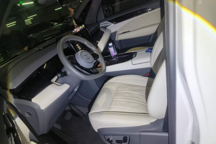 Used Zeekr 009 2022 WE Edition Left Front Seat