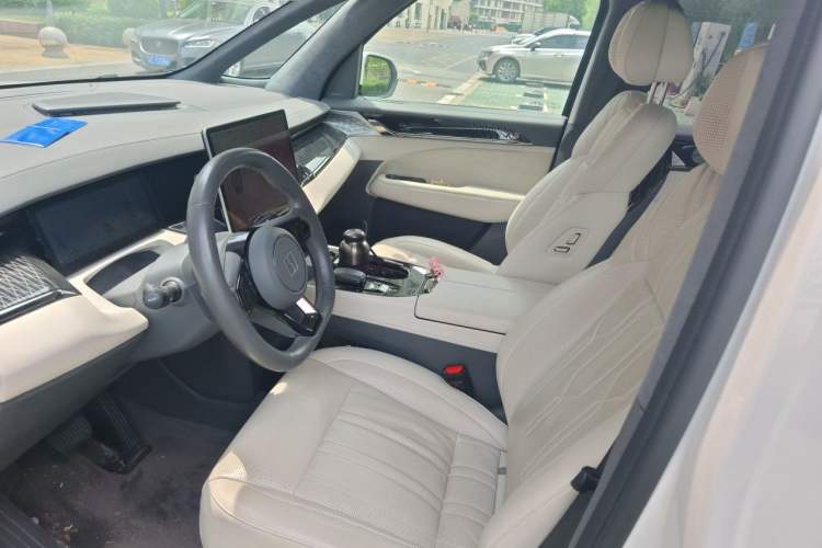 Used Zeekr 009 2022 WE Edition Left Front Seat
