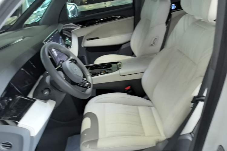 Used Zeekr 009 2022 WE Edition Left Front Seat