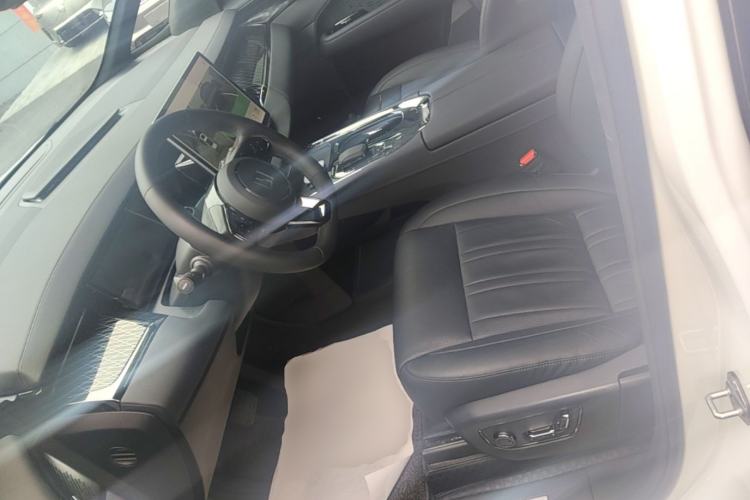 Used Zeekr 009 2022 WE Edition Left Front Seat