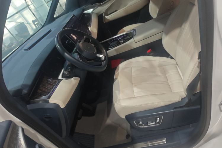 Used Zeekr 009 2022 WE Edition Left Front Seat