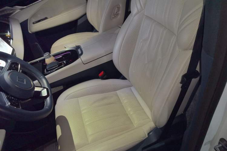 Used Zeekr 009 2022 WE Edition Left Front Seat