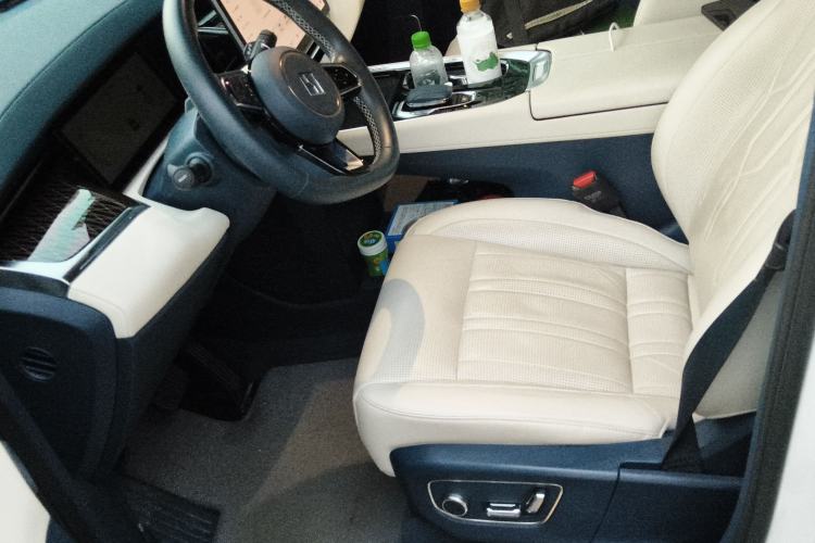Used Zeekr 009 2022 WE Edition Left Front Seat