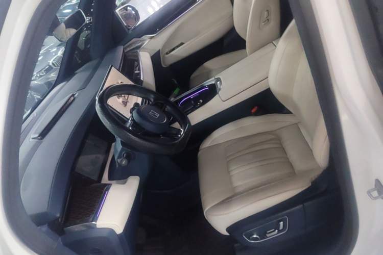 Used Zeekr 009 2022 WE Edition Left Front Seat