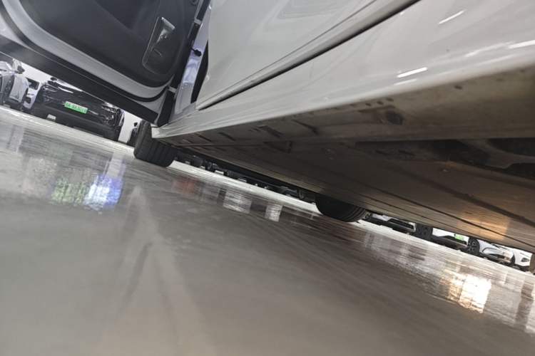 Used Zeekr 009 2022 WE Edition Left Side Sill