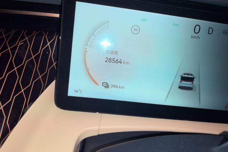 Used Zeekr 009 2022 WE Edition Odometer Close Up