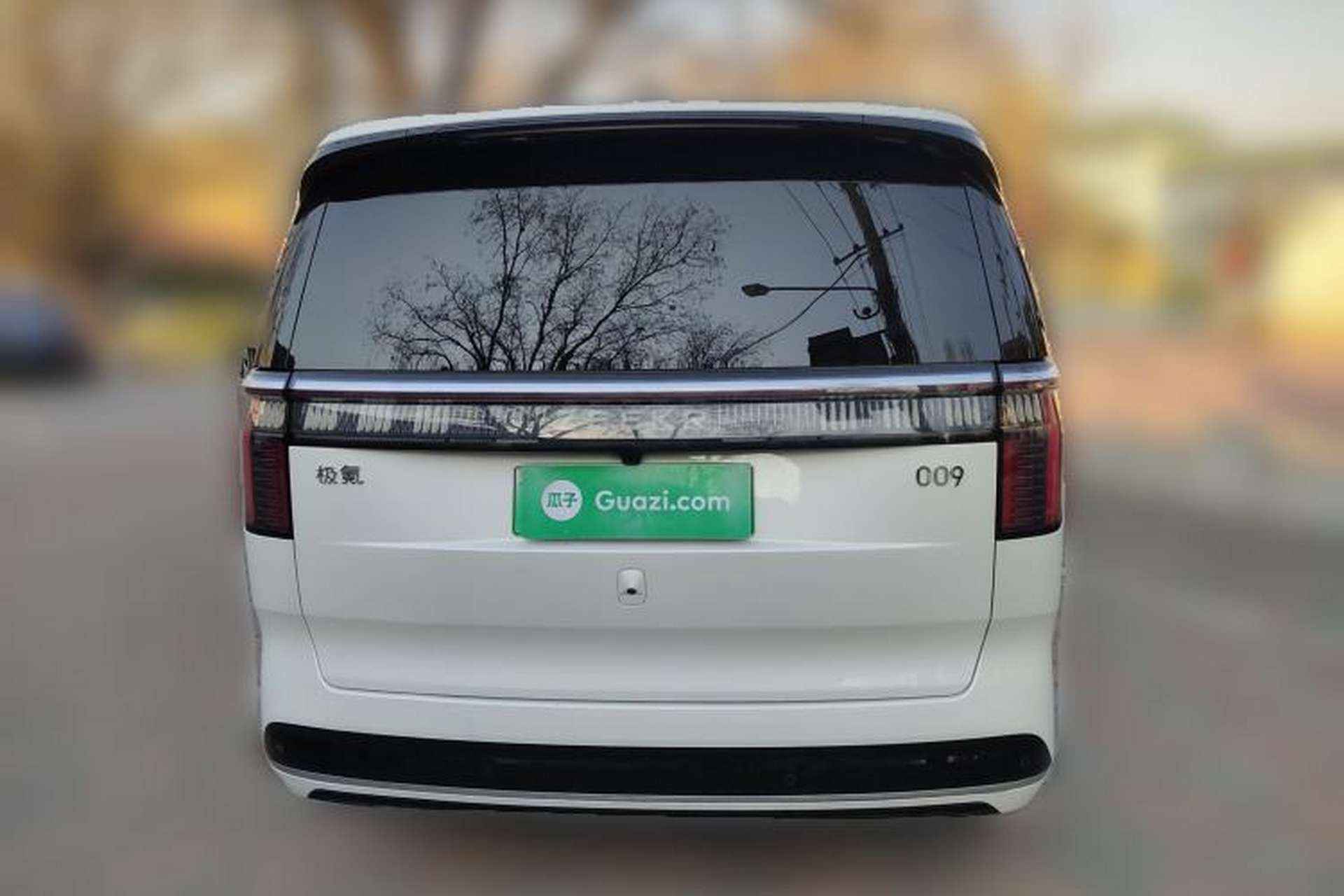 Used Zeekr 009 2022 ME Edition Rear