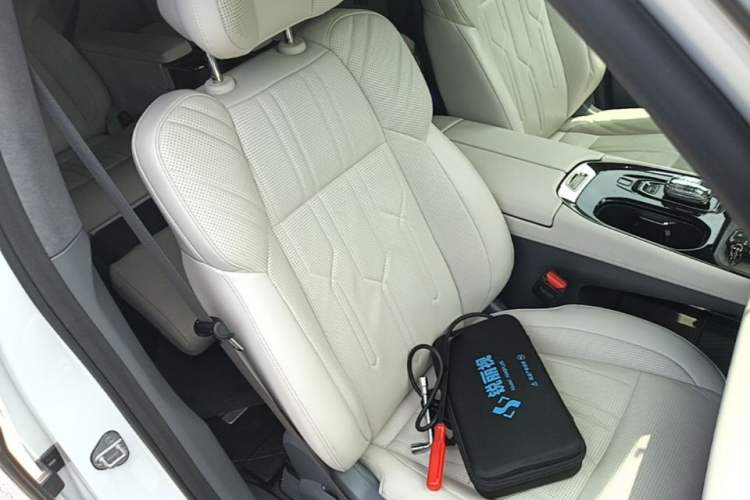 Used Zeekr 009 2022 WE Edition Right Front Seat