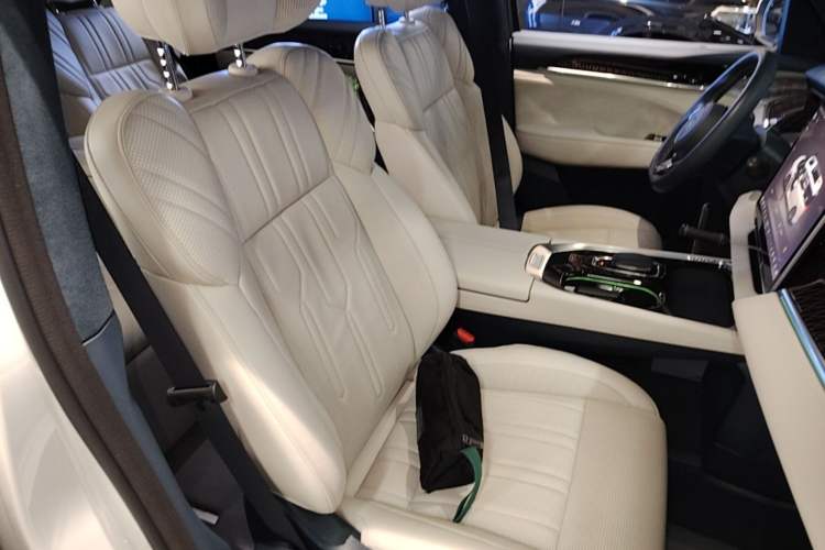 Used Zeekr 009 2022 WE Edition Right Front Seat