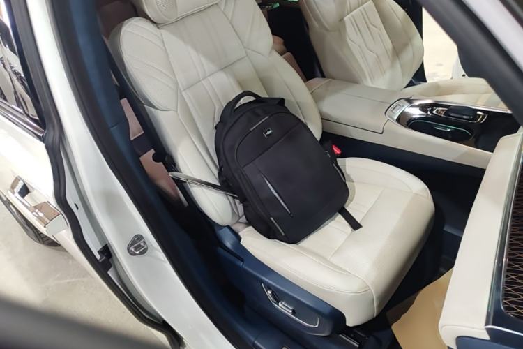 Used Zeekr 009 2022 WE Edition Right Front Seat