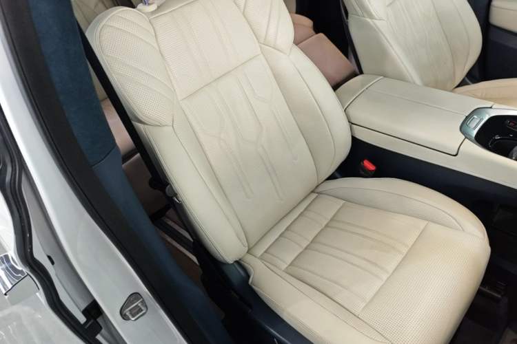 Used Zeekr 009 2022 WE Edition Right Front Seat