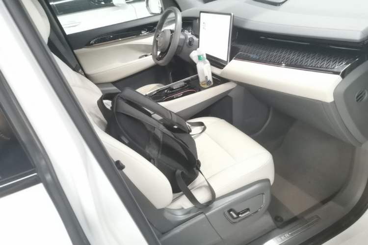 Used Zeekr 009 2022 WE Edition Right Front Seat