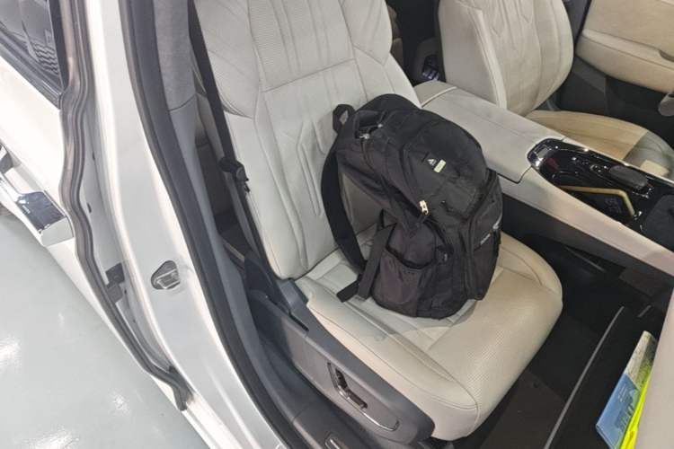 Used Zeekr 009 2022 WE Edition Right Front Seat