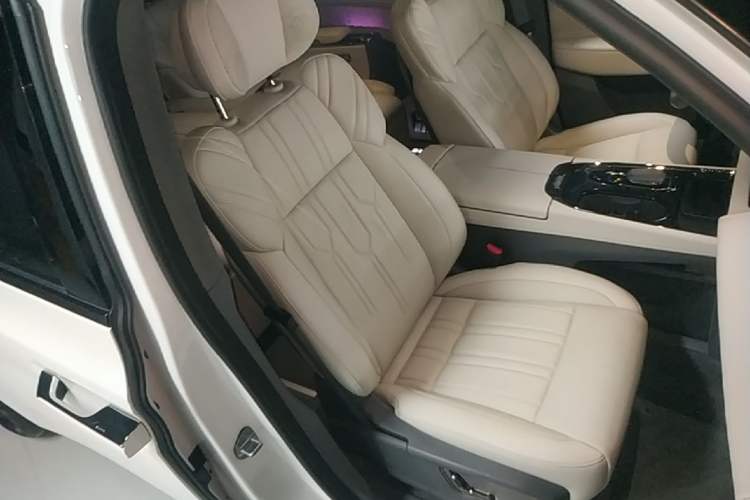 Used Zeekr 009 2022 WE Edition Right Front Seat