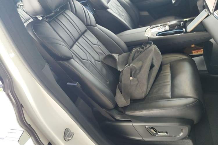Used Zeekr 009 2022 WE Edition Right Front Seat