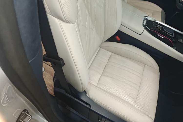 Used Zeekr 009 2022 WE Edition Right Front Seat