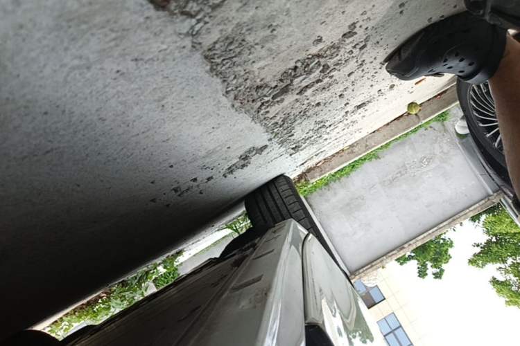 Used Zeekr 009 2022 WE Edition Right Side Sill