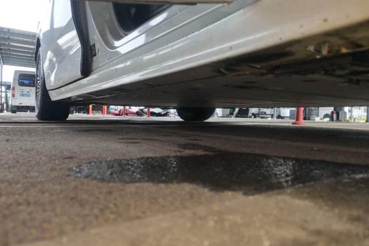Used Zeekr 009 2022 WE Edition Right Side Sill