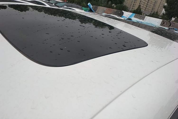 Used Zeekr 009 2022 WE Edition Roof