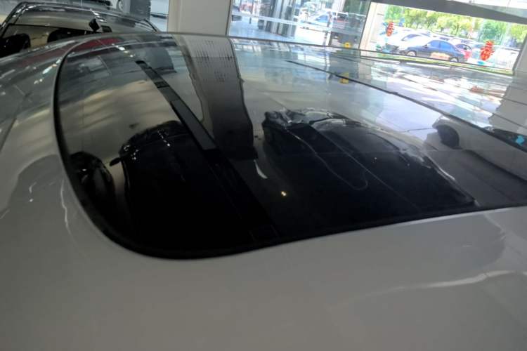 Used Zeekr 009 2022 WE Edition Roof
