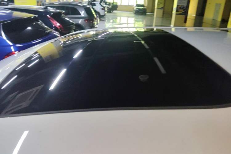Used Zeekr 009 2022 WE Edition Roof