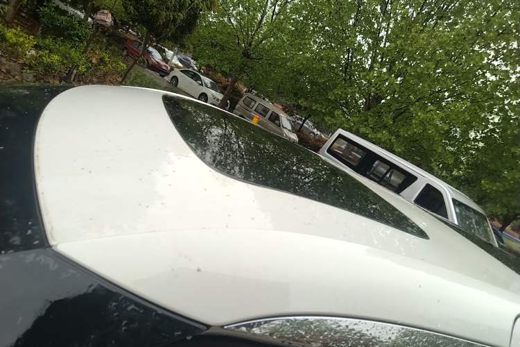 Used Zeekr 009 2022 WE Edition Roof