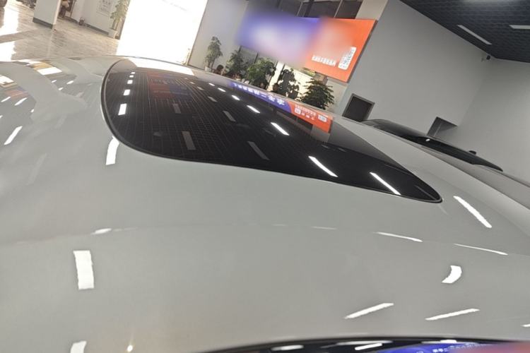 Used Zeekr 009 2022 WE Edition Roof