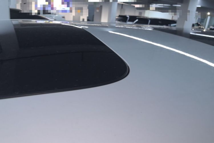 Used Zeekr 009 2022 WE Edition Roof