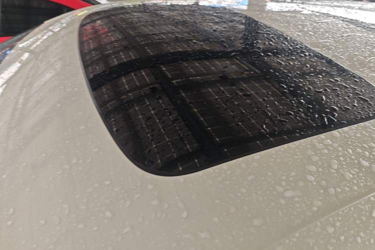 Used Zeekr 009 2022 WE Edition Roof