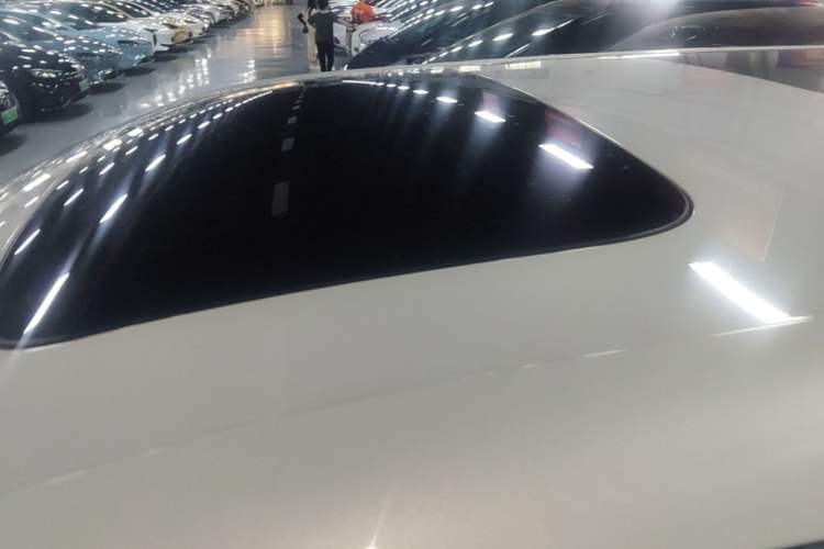 Used Zeekr 009 2022 WE Edition Roof