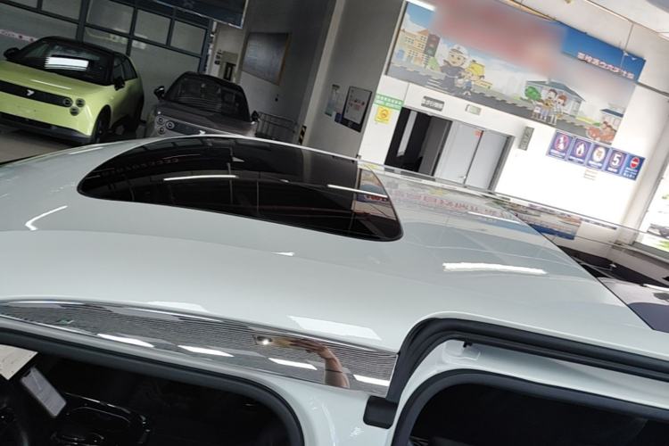 Used Zeekr 009 2022 WE Edition Roof