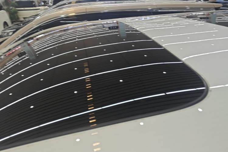 Used Zeekr 009 2022 WE Edition Roof