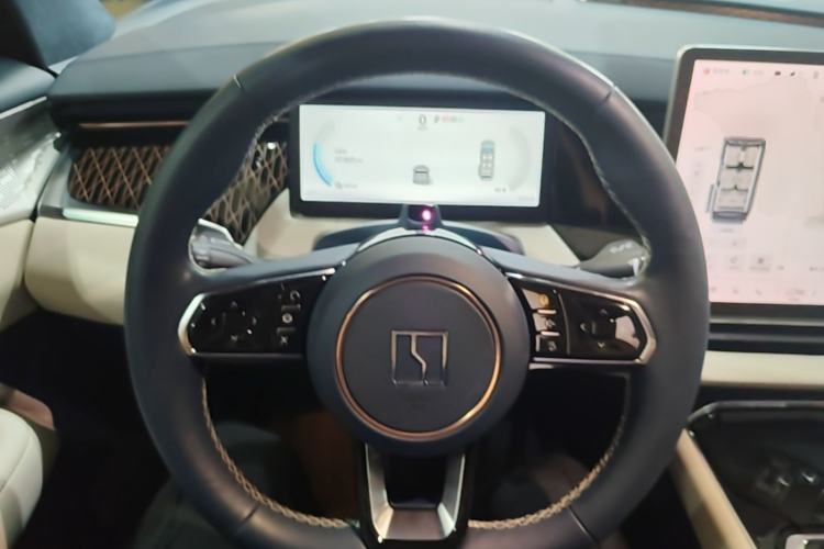 Used Zeekr 009 2022 WE Edition Steering Wheel
