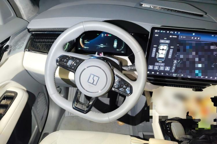 Used Zeekr 009 2022 WE Edition Steering Wheel
