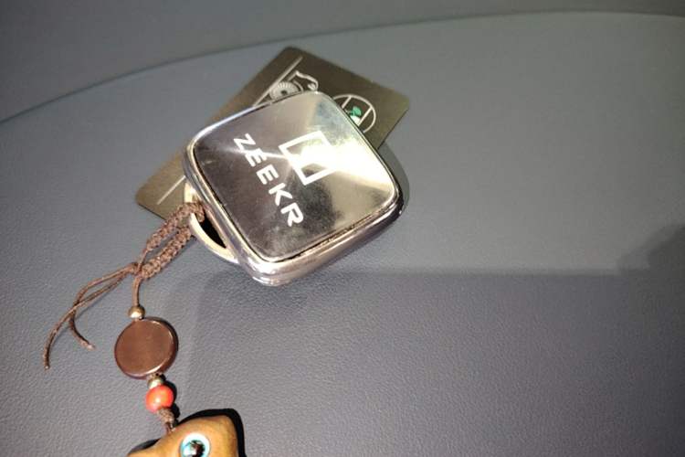 Used Zeekr 009 2022 WE Edition Vehicle Key