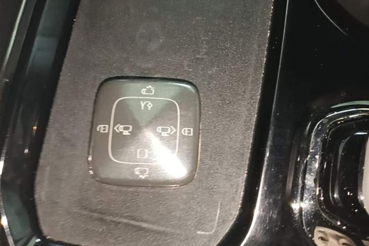 Used Zeekr 009 2022 ME Edition Vehicle Key